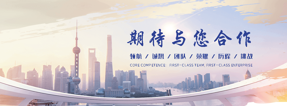 桐柏海狮租赁公司
